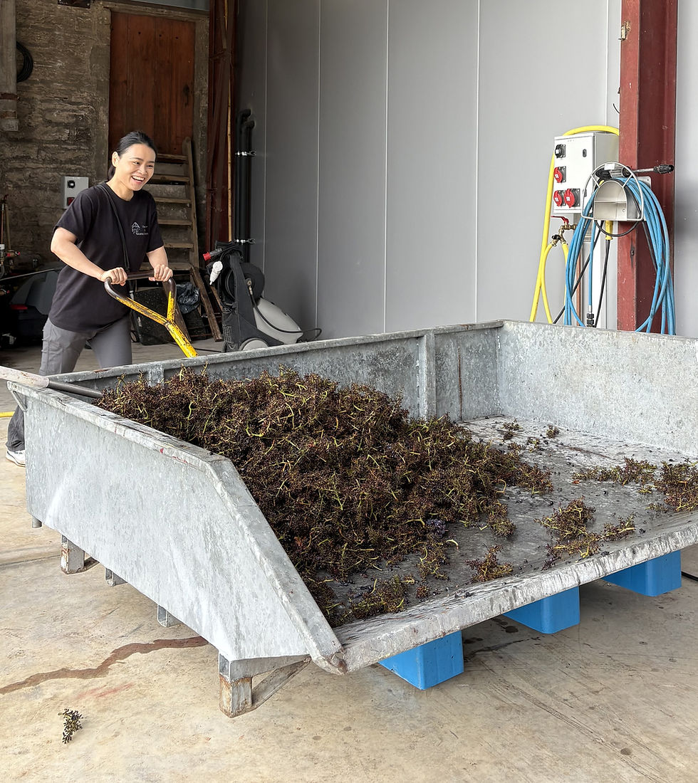 FloraHarvest1.jpg
