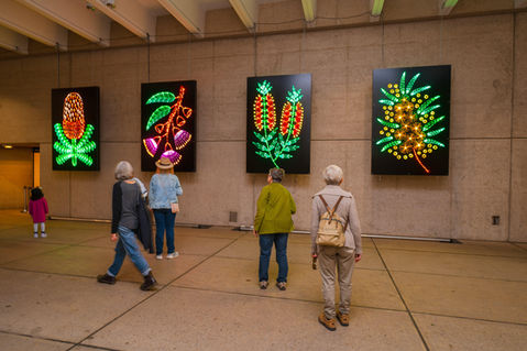 fibre optic light art embroidery. Australian flowers