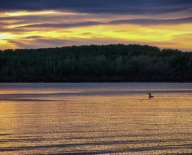 Cozy Country Inn-Night 9.jpeg