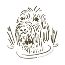 TBF__Sublogo_Darwin_Pluff.png