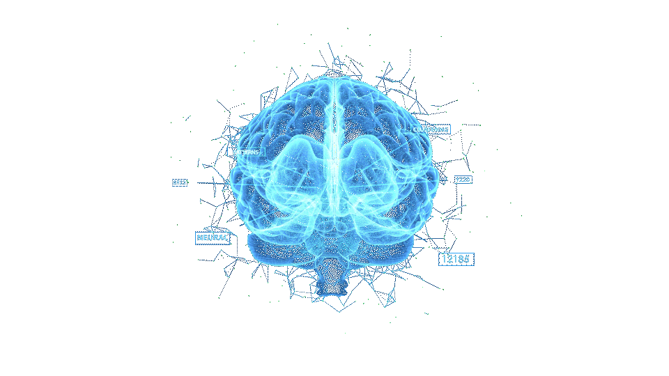 brain2.gif