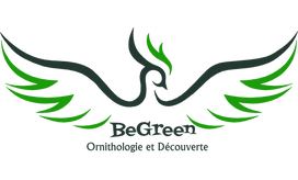 SmallLogo.png