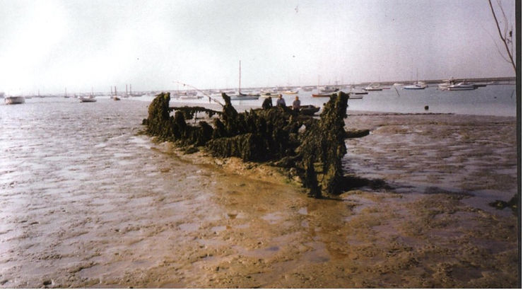 The hulk of Pioneer Sailing Ship lies in the mud.