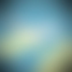 COMI Beyond the Registered Office: Rethinking Jurisdictional Flexibility in Cross-Border Airline Insolvency