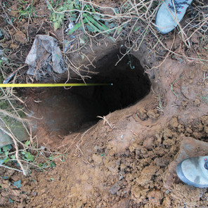 Exumação de sapatas