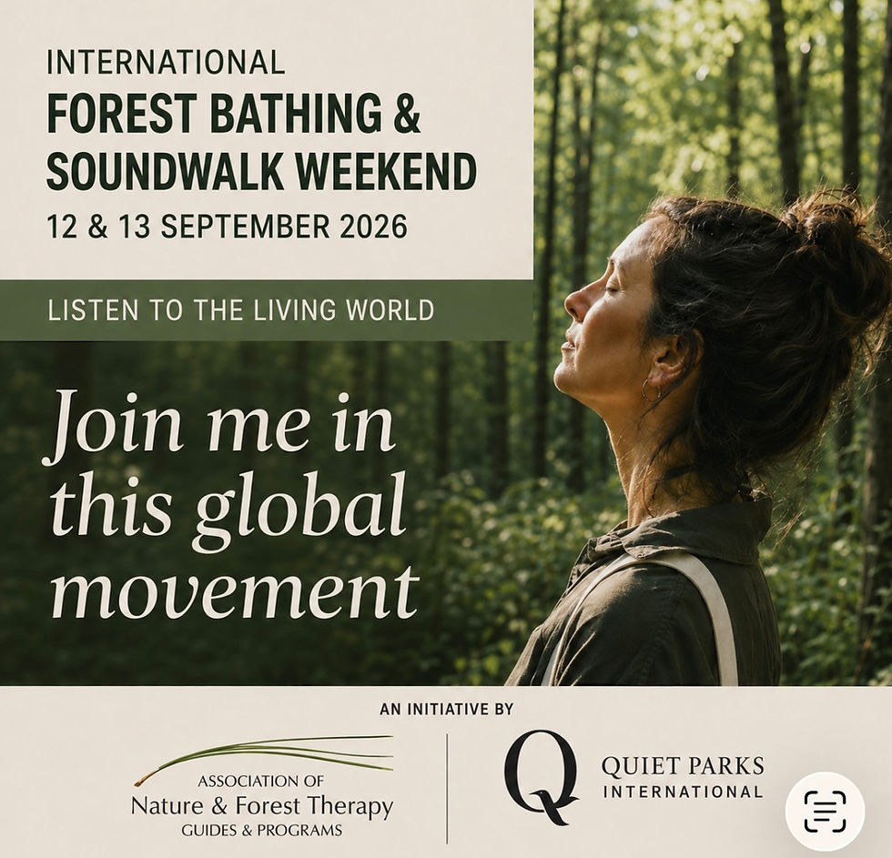SOUNDWALK AT BUDS IN BLOOM
