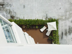 Roof Garden