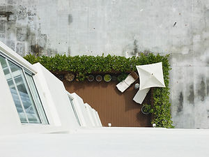 Roof Garden