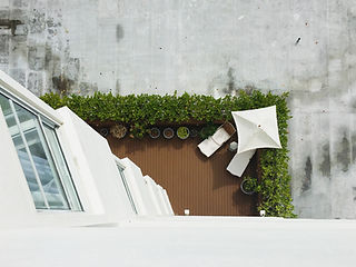 Roof Garden