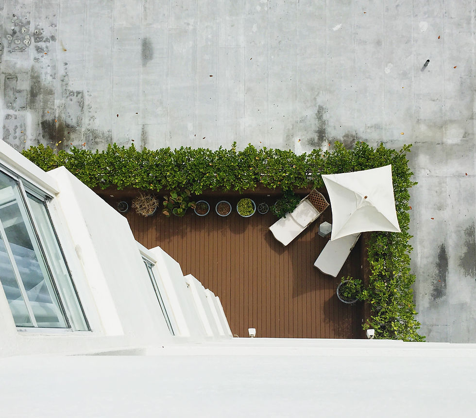 Roof Garden