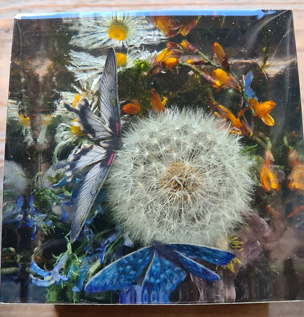 Thumbnail: Pressepapier Butterflies 