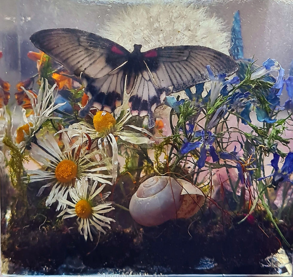 Pressepapier Butterflies