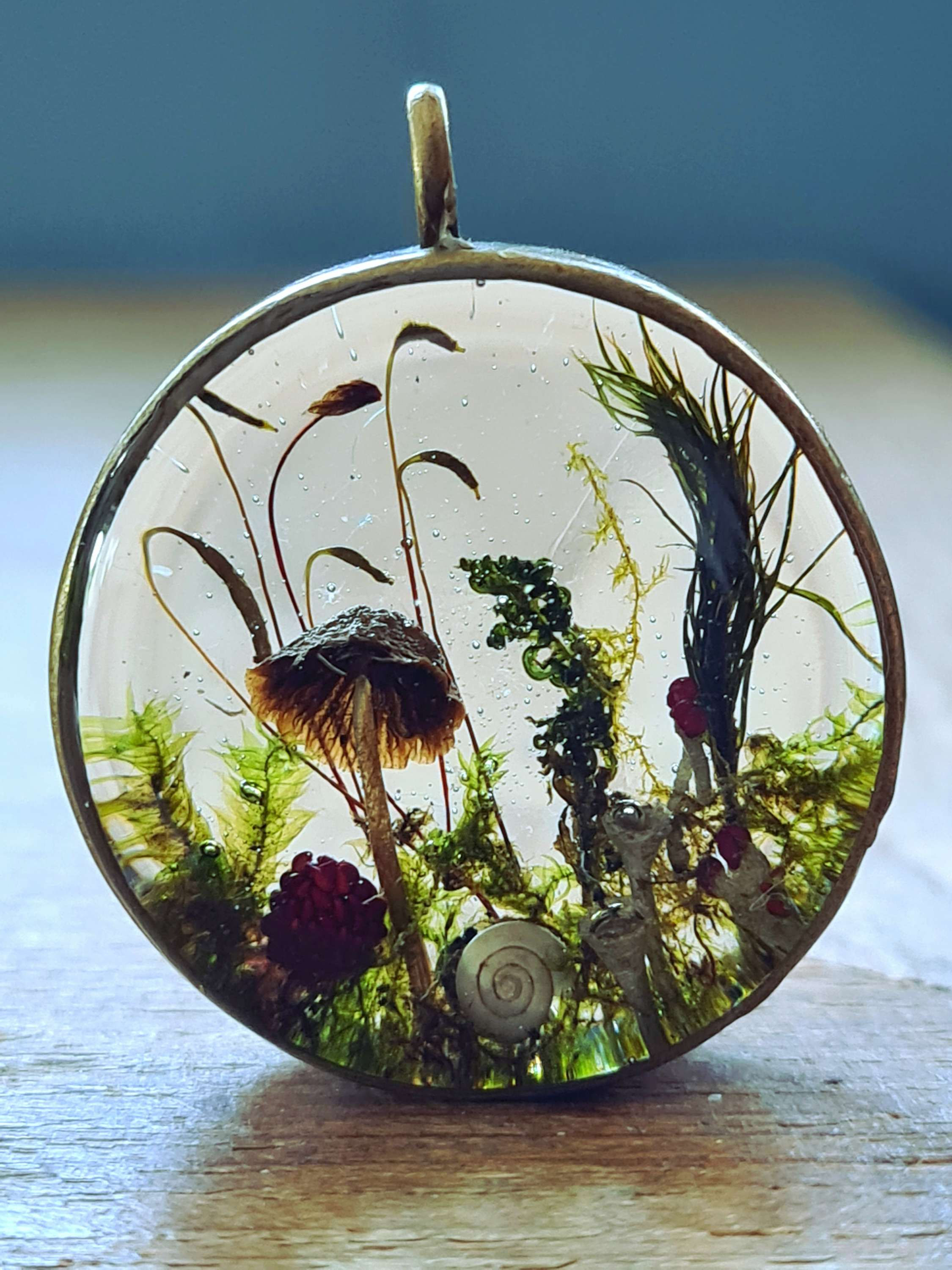 Medaillon Stilte In Het Bos