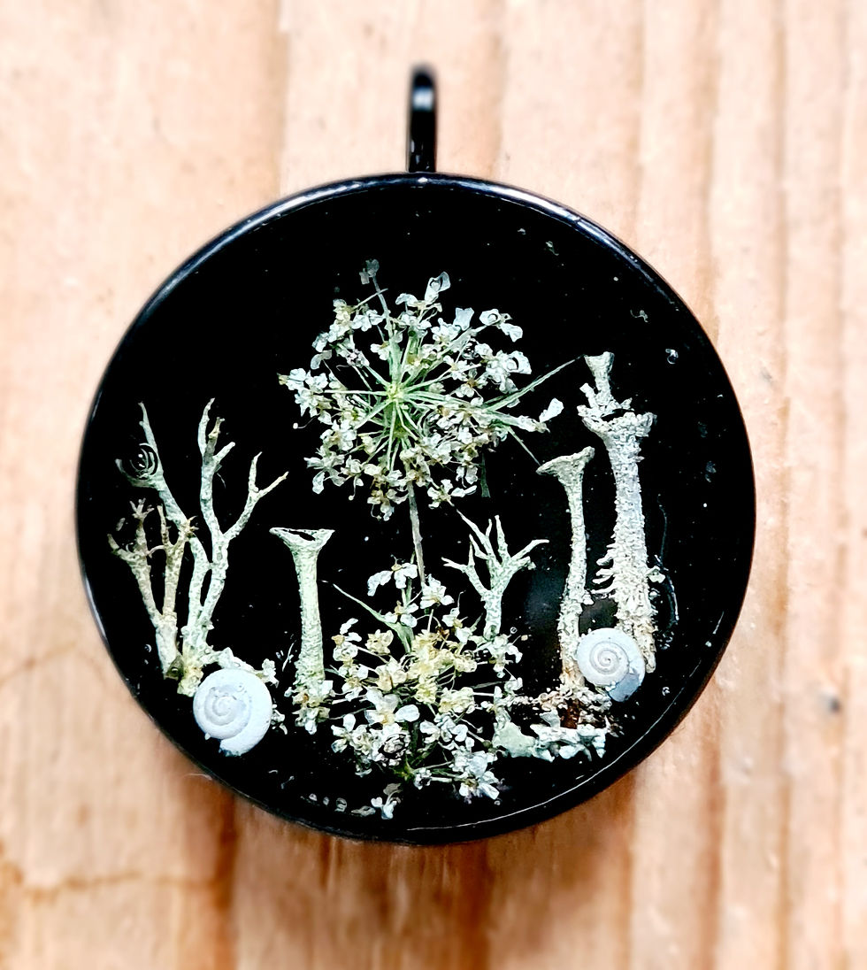 Medaillon Forest In The Night 2