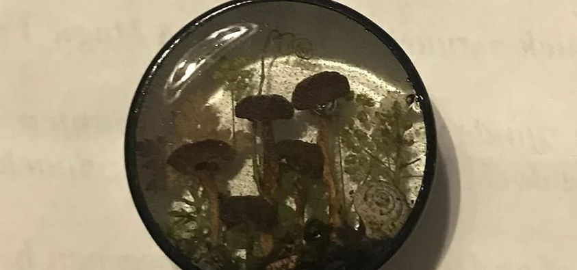 Medaillon In A Magic Forest