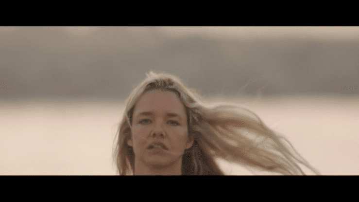PAMELA Final Cut-high.gif
