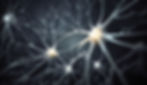 ExonScientific Neurons