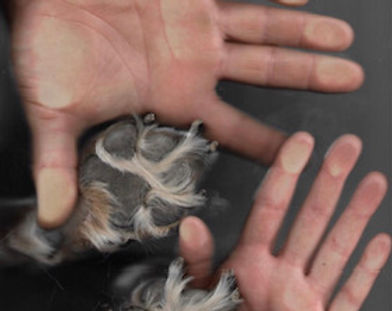 hand.jpg