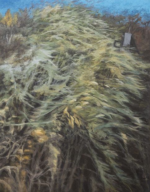 5. Haze lens-05  117x91cm 장지에 채색 2023.jpg