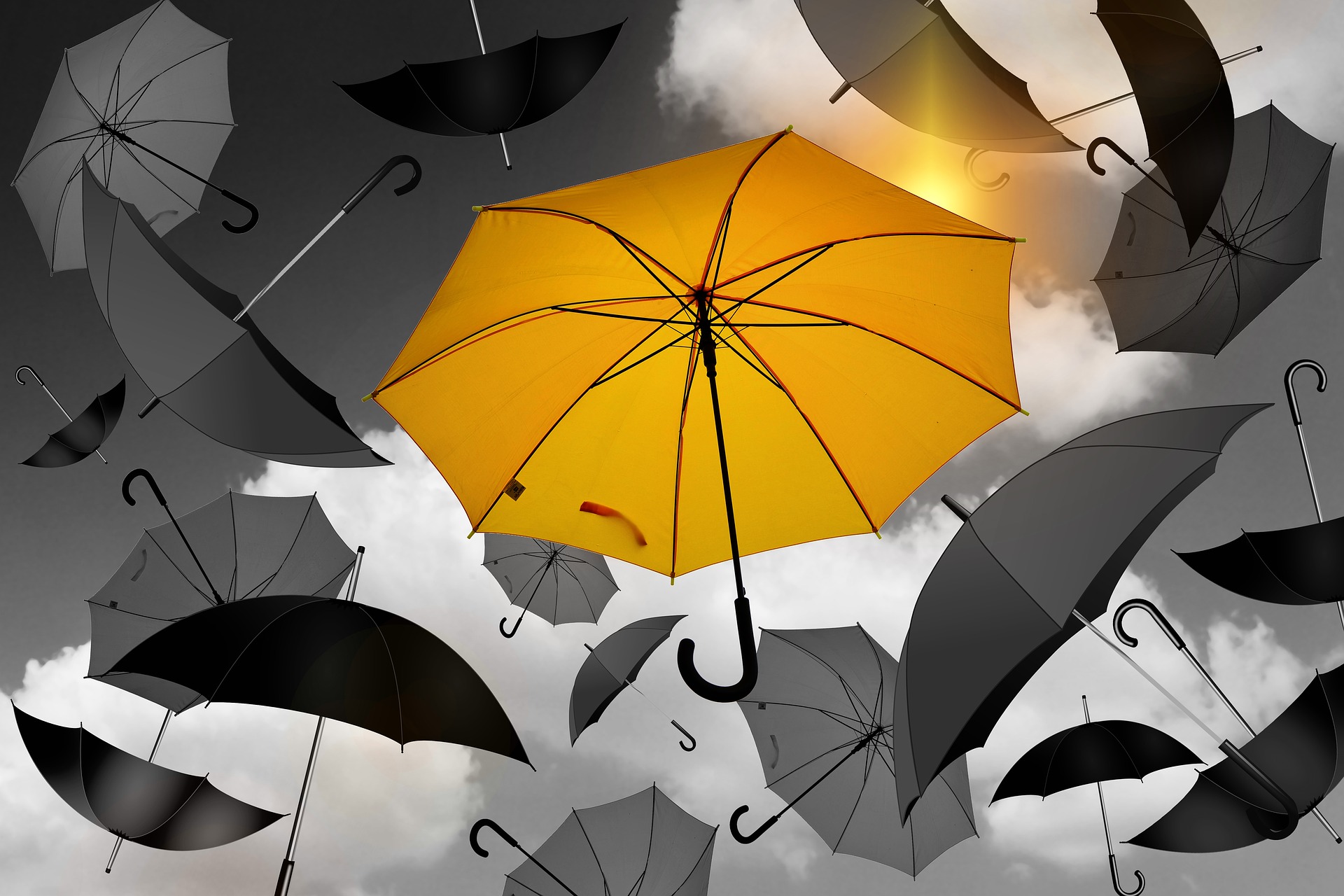 Excess & Umbrella