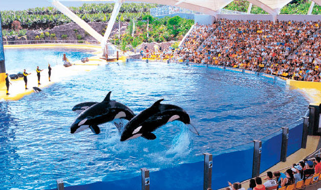 Loro Parque Tenerife
