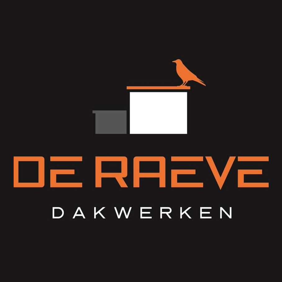 DAKWERKEN DE RAEVE