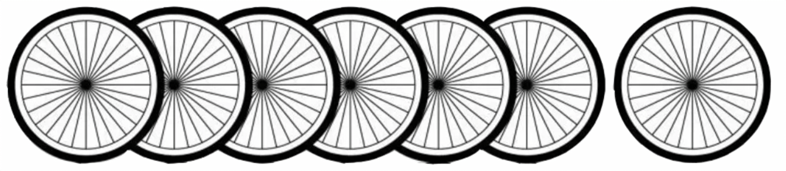 Carolina Tarwheels logo