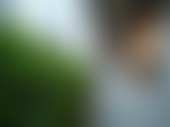 Choosing the Right Hedge Trimming Service