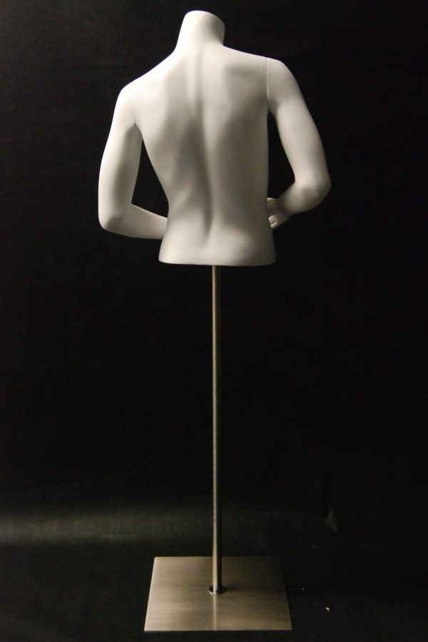 Miniature : Torse de mannequin masculin 3