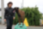 6image1.jpeg