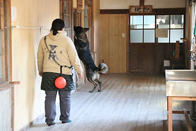 image13ページ.jpeg