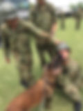 image6.jpeg