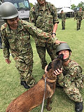 image6.jpeg