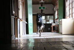 image5.jpeg