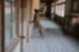 imag12月1.jpeg