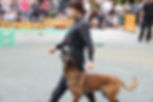 4image1.jpeg