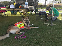 image8.jpeg