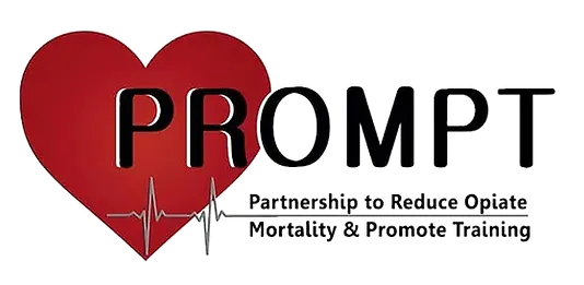 prompt_edited.webp