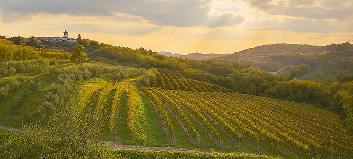 ChatGPT Image 14. okt. 2025, 18_07_34.png