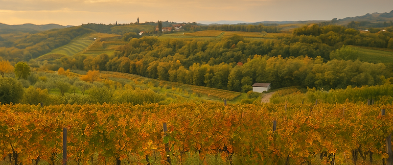 Izdelek brez naslova (6).png