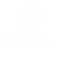 KH logo white_Tavola disegno 1.png