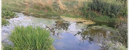 stagno01_1280x853