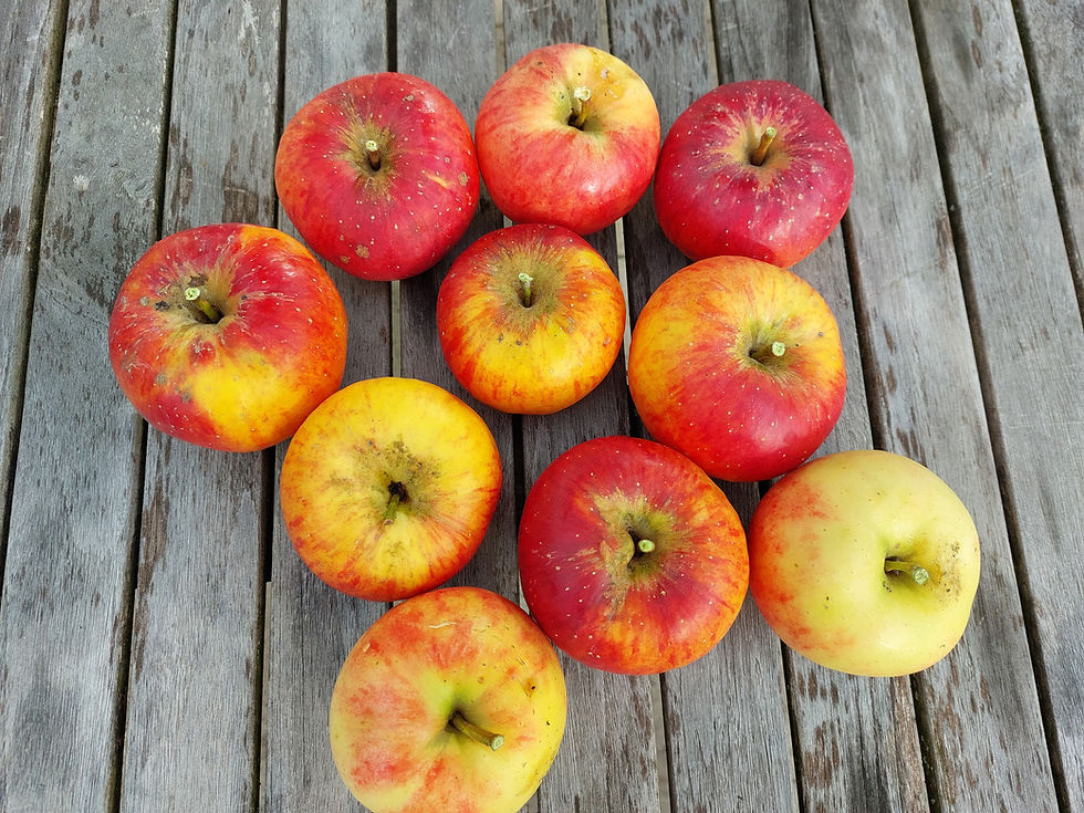 Geduld in der Erziehung