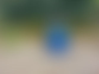 Kinder begleiten- was ist zu viel des Guten?