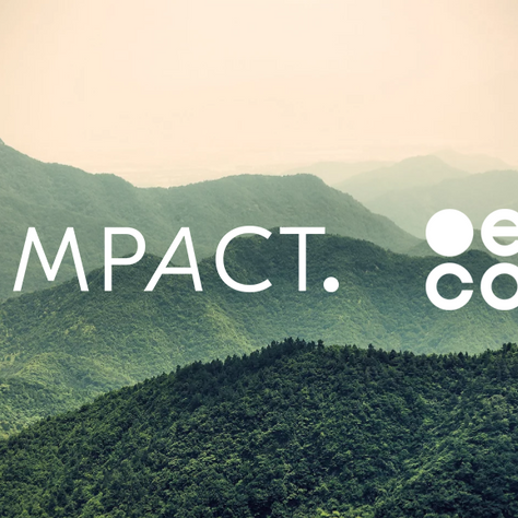Our Green Commitment - joining the .eco domain world