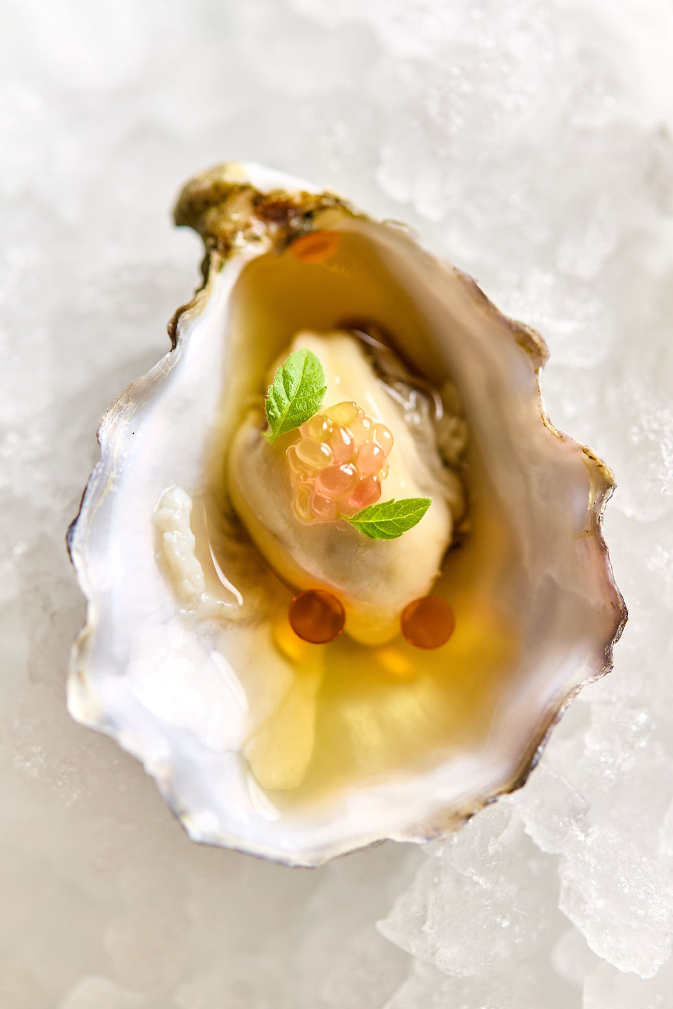 Søllerød Kro_Menu_Jan26_2882.jpg
