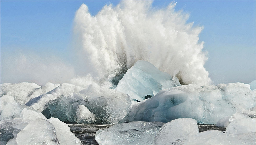 DSC_8994 (2)_edited.jpg