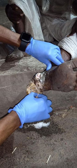 69416584_962115680788093_482484404703199