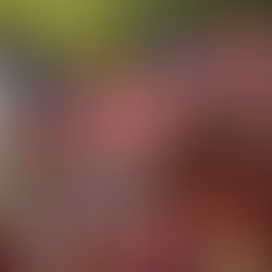 2021 Gerry Rodeo - Saturday Wrap-Up