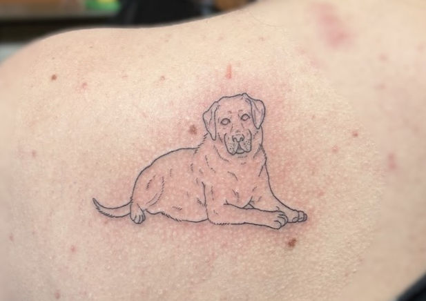 a simple fine line single needle tattoo of an outline of a labrador dog